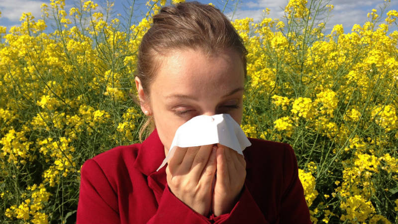 Alergias durante el verano