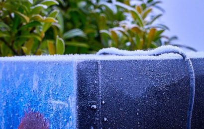 Congeladores verticales no frost: dos tecnologías para el mejor enfriamiento
