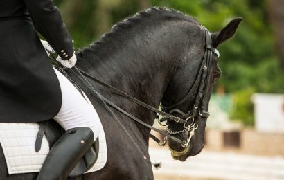 ¿Cuál es el equipamiento básico para montar a caballo?