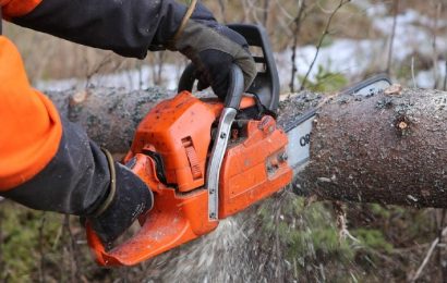 Elegir una motosierra para el jardín fácilmente