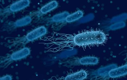 La incapacidad para fabricar antibióticos nuevos favorece la resistencia de las bacterias a los medicamentos