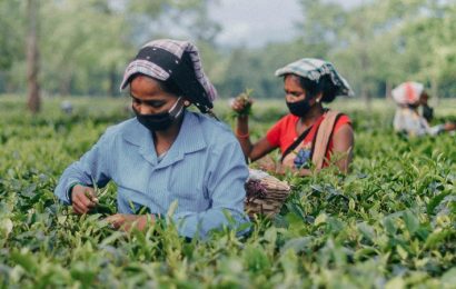 Crece el número de trabajadores que migran a otro país