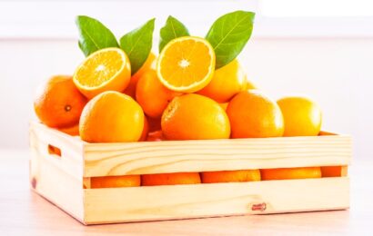 Dónde comprar naranjas directamente al agricultor