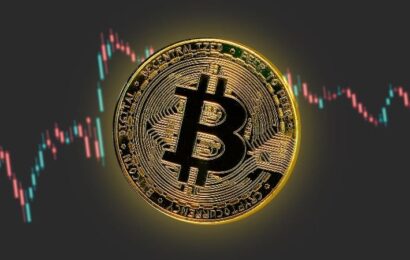 ¿Cuál es el futuro del Bitcoin?