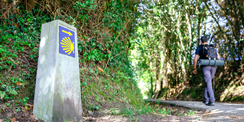 Camino de Santiago