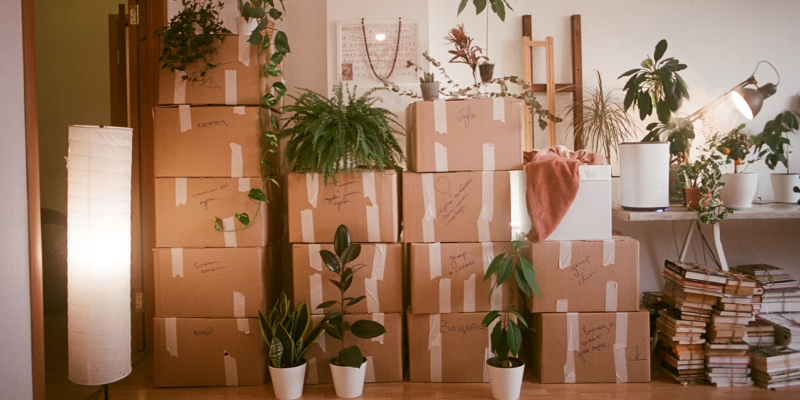 Cajas de una mudanza