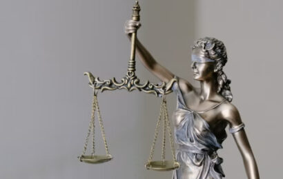El papel de los abogados especialistas en la función pública en la defensa de los derechos de los funcionarios