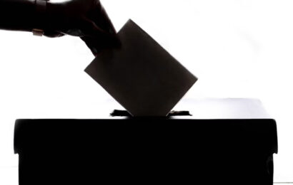 Votar