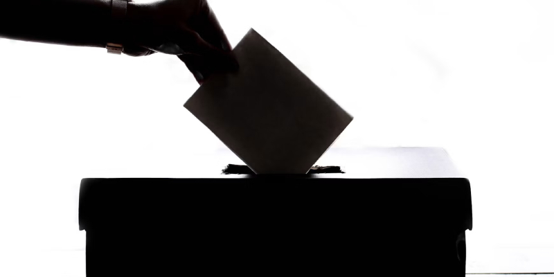 Votar